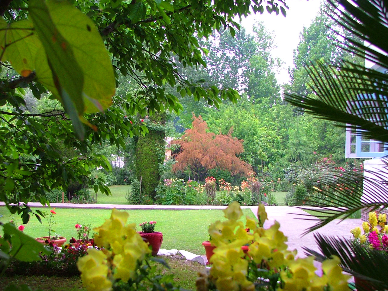 Green Acre View